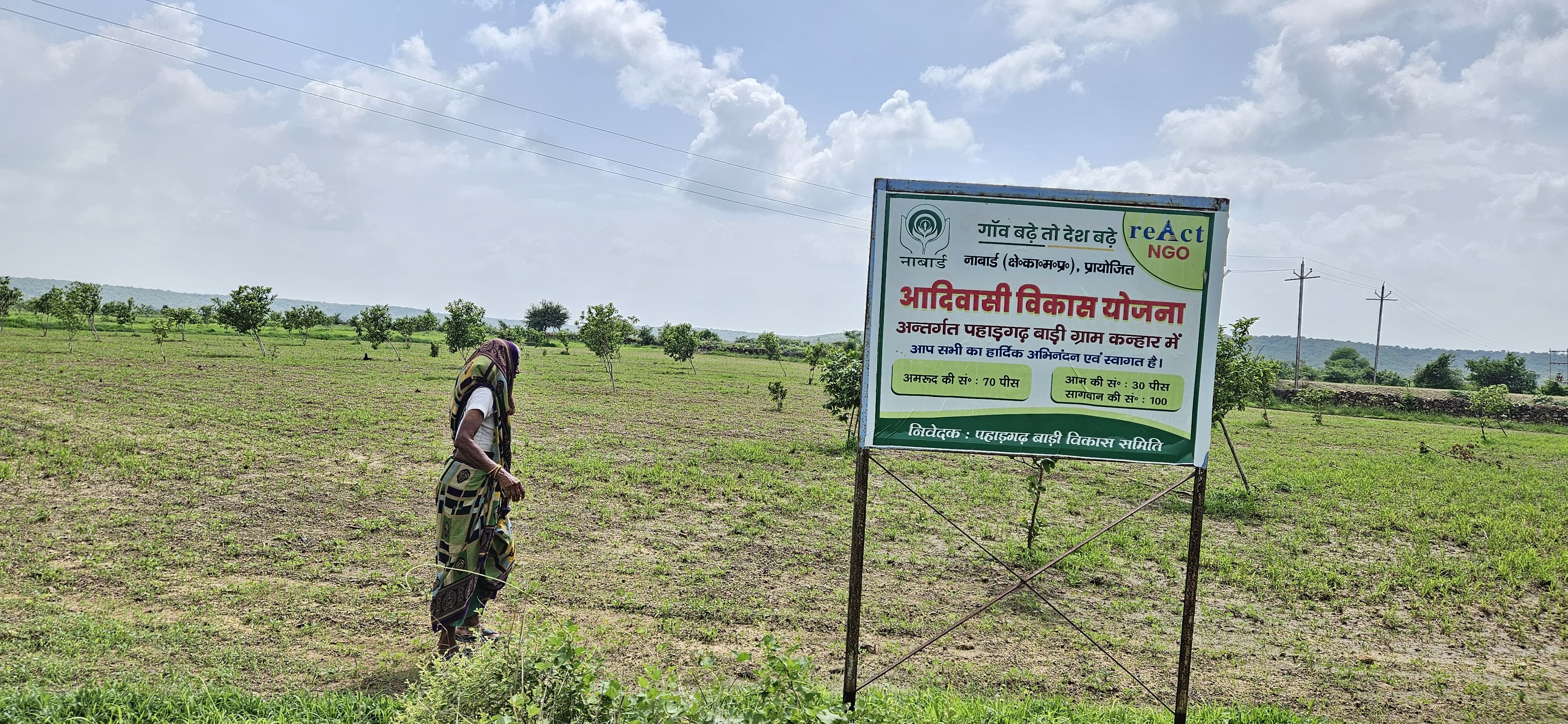 मुरैना में आदिवासियों से छलाबा, न तो पौधे तैयार हुए और न खेती रही, कर्ज में दबे