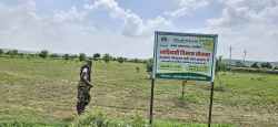 मुरैना में आदिवासियों से छलाबा, न तो पौधे तैयार हुए और न खेती रही, कर्ज में दबे - image