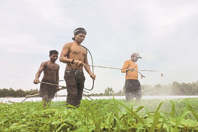 Short video poster image