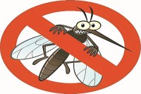 बस्तर में मलेरिया और जेई का खतरा (Photo source- Patrika)