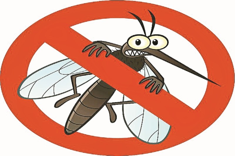 बस्तर में मलेरिया और जेई का खतरा (Photo source- Patrika)