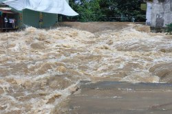 Monsoon Update : कनक सागर बांध ओवरफ्लो, दुगारी गांव में घुसा पानी, एक व्यक्ति
बहा - image