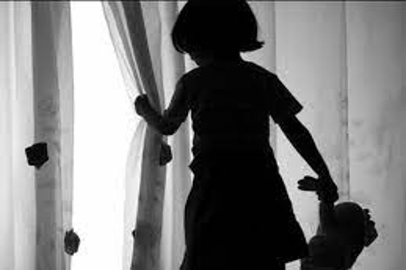 स्कूल वैन में 4 साल की बच्ची से हैवानियत, आरोपी चालक गिरफ्तार, प्रबंधक पर भी मुकदमा दर्ज फोटो सोर्स : Social Media