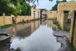 जलभराव ने बद से बदतर किए राजकीय कार्यालयों के हालात - image