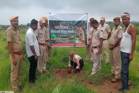 धौलपुर-करौली टाइगर रिजर्व बनने से ग्रामीणों को मिलेगा रोजगार Villagers will get employment after the construction of Dholpur-Karauli Tiger Reserve