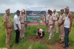 धौलपुर-करौली टाइगर रिजर्व बनने से ग्रामीणों को मिलेगा रोजगार - image