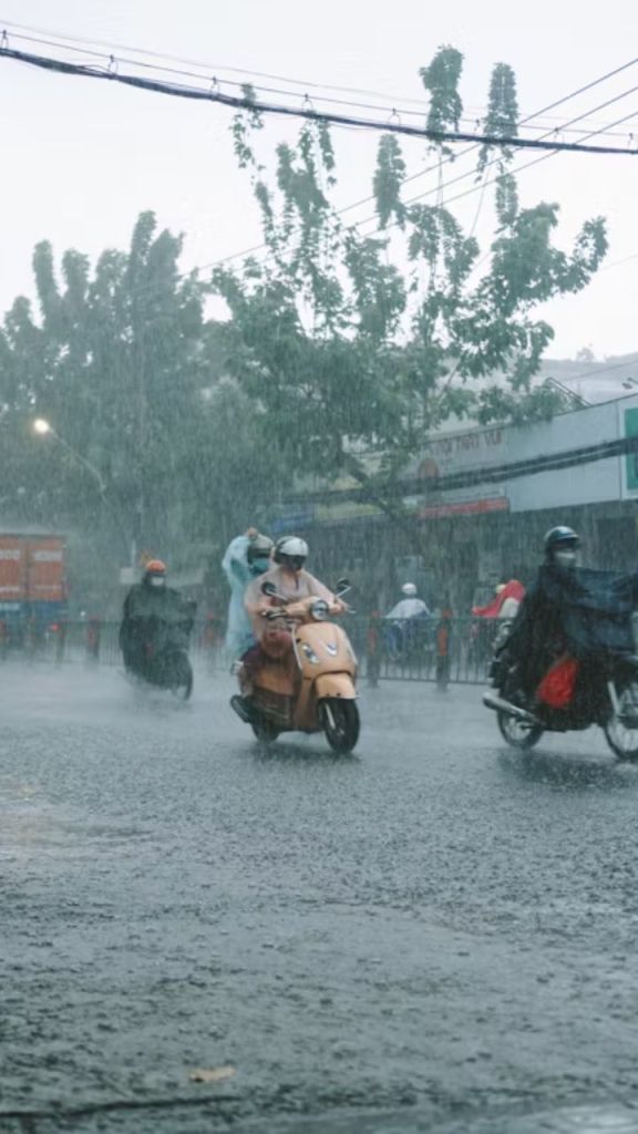 Rain:  मानसून का कहर! इन जिलों में भारी बारिश का अलर्ट, जानिए आने वाले दिनों के मौसम का हाल
