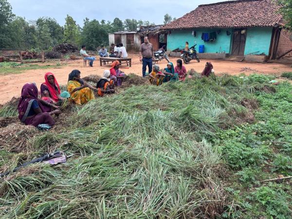CG News: छत्तीसगढ़ की महिलाओं ने 20 एकड़ जमीन में शुरू की लेमन ग्रास की खेती, देखें तस्वीरें