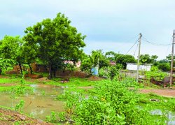 बांदकपुर सहित 64 गांवों में बिजली गुल, 6 घंटे बाद सुधार हुआ, फिर हो गया अंधेरा - image