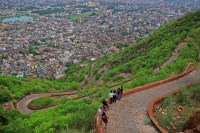 जयपुर में मानसून की बारिश से बिछी हरियाली की चादर, फोटो एएनआइ