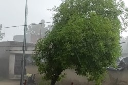 UP Rains: बंगाल की खाड़ी में फिर बन रहा लो प्रेशर सिस्टम, इन जिलों में तीन दिन
नॉनस्टॉप बारिश - image