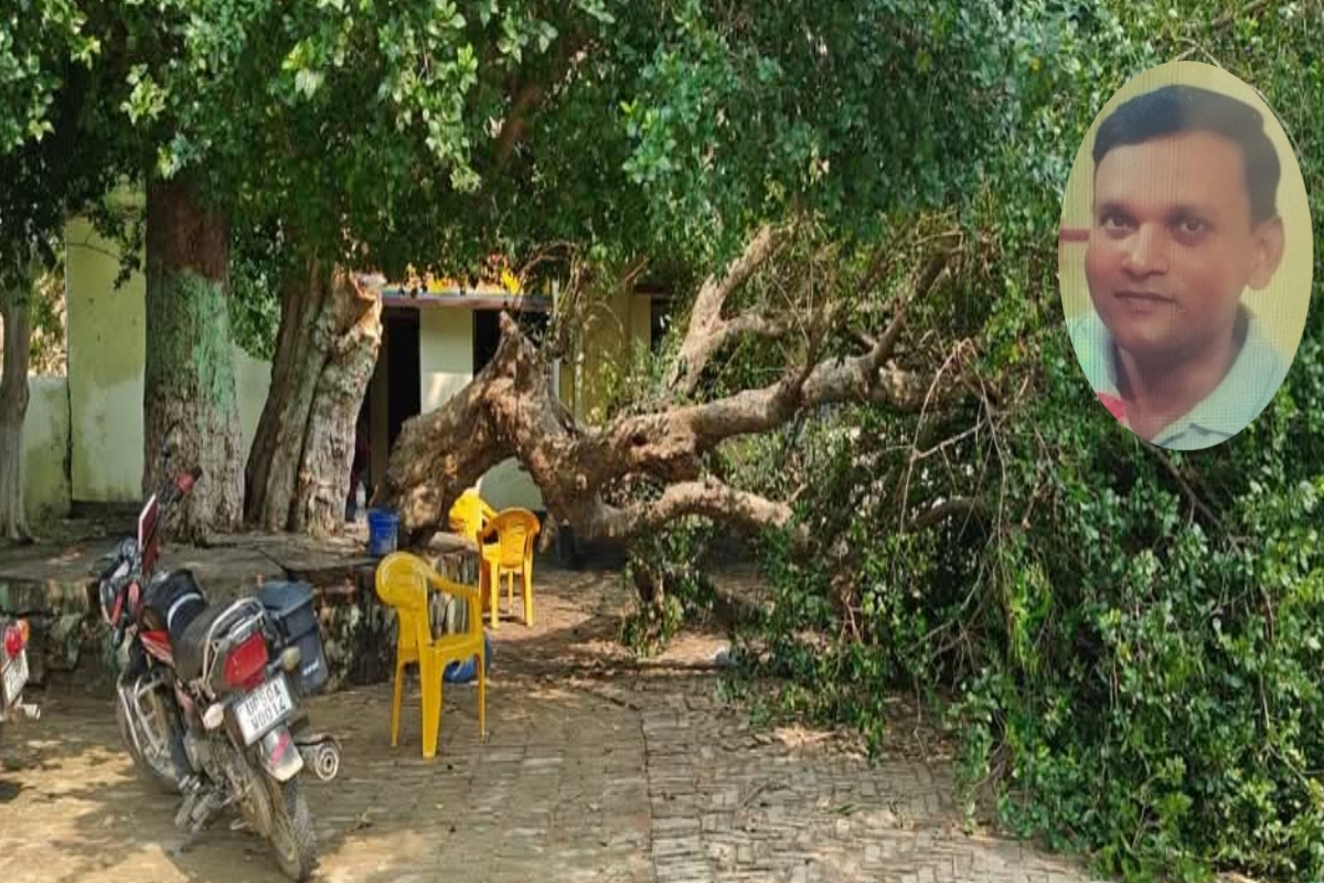 Ghazipur News: बीआरसी परिसर में पेड़ की डाली गिरने से सहायक अध्यापक की मौत,
शिक्षा विभाग में शोक की लहर