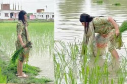 Jaunpur News:सांसद प्रिया सरोज ने खेत में की धान की रोपाई, सोशल मीडिया पर वीडियो
वायरल - image