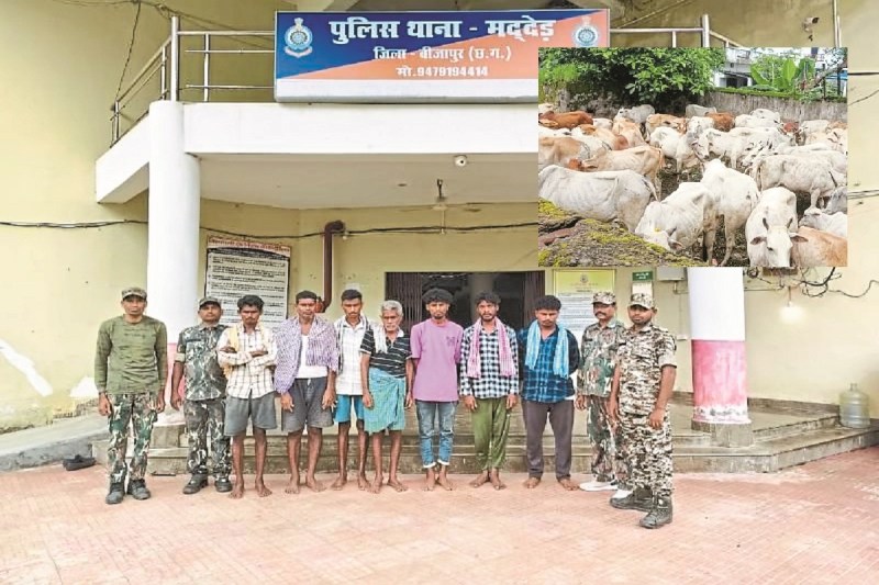 मद्देड़ पुलिस की बड़ी कार्रवाई (Photo source- Patrika)