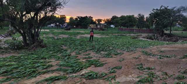 rajasthan rain