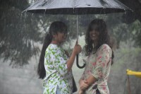 Torrential Downpours Create Flood‑Like Conditions, Administration in High‑Alert Mode Photo source: Patrika