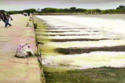 जल संसाधन विभाग की लापरवाही से बनास का पानी बह गया, कपासन तालाब सूखा - image