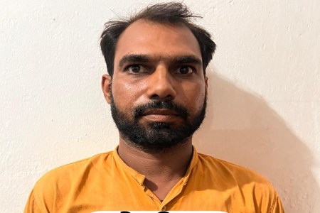 पशु तस्करी में शामिल गिरोह का पर्दाफाश फोटो सोर्स : STF