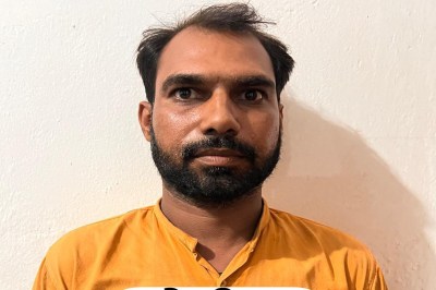 पशु तस्करी में शामिल गिरोह का पर्दाफाश फोटो सोर्स : STF