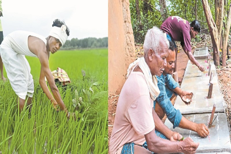 खेतों की रक्षा और पूर्वजों को समर्पित पर्व (Photo source- Patrika)