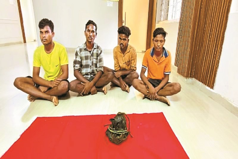 टिफिन बम के साथ चार नक्सली गिरफ्तार (Photo source- Patrika)