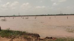 पोकरण: हर तरफ भरा पानी… मौसमी बीमारियों के फैलने का खतरा - image