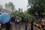 गरज-चमक के साथ तेज बारिश से तबाही, पेड़ गिरे, छज्जे टूटे, कई जिलों में जनजीवन अस्त-व्यस्त फोटो सोर्स : Patrika