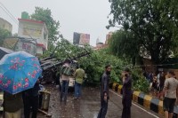 गरज-चमक के साथ तेज बारिश से तबाही, पेड़ गिरे, छज्जे टूटे, कई जिलों में जनजीवन अस्त-व्यस्त फोटो सोर्स : Patrika