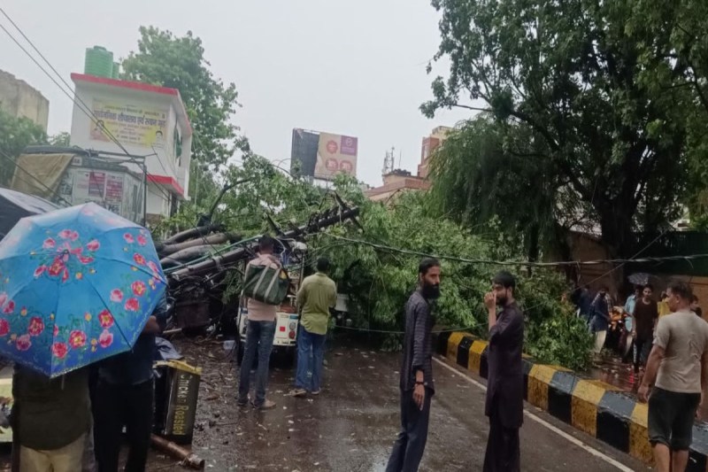 गरज-चमक के साथ तेज बारिश से तबाही, पेड़ गिरे, छज्जे टूटे, कई जिलों में जनजीवन अस्त-व्यस्त फोटो सोर्स : Patrika