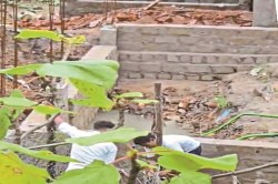 CG News: कीमती जमीन पर अवैध कब्जा करने का सिलसिला जारी, प्रशासन बना तमाशबीन - image