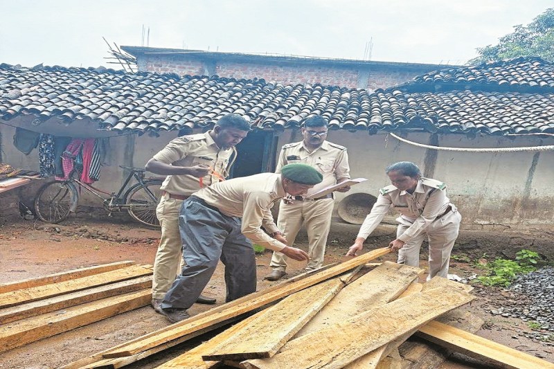 केशकाल वन मंडल ने जब्त किया अवैध चिरान (Photo source- Patrika)