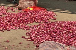 Muhana Mandi : भिंडी-अरबी, बैंगन, लॉकी और कद्दू हो रहे सस्ते, हरी मिर्ची व ग्वार
फली महंगी - image