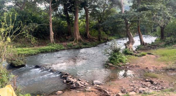 CG Tourism: मानसून में बस्तर की प्राकृतिक खूबसूरती का अनुभव, देखें तस्वीरें 
