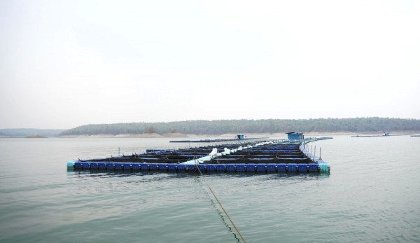 CG News: छत्तीसगढ़ में फिशरीज के नये युग की शुरूआत, डुबान में बनेगा पहला एक्वा पार्क