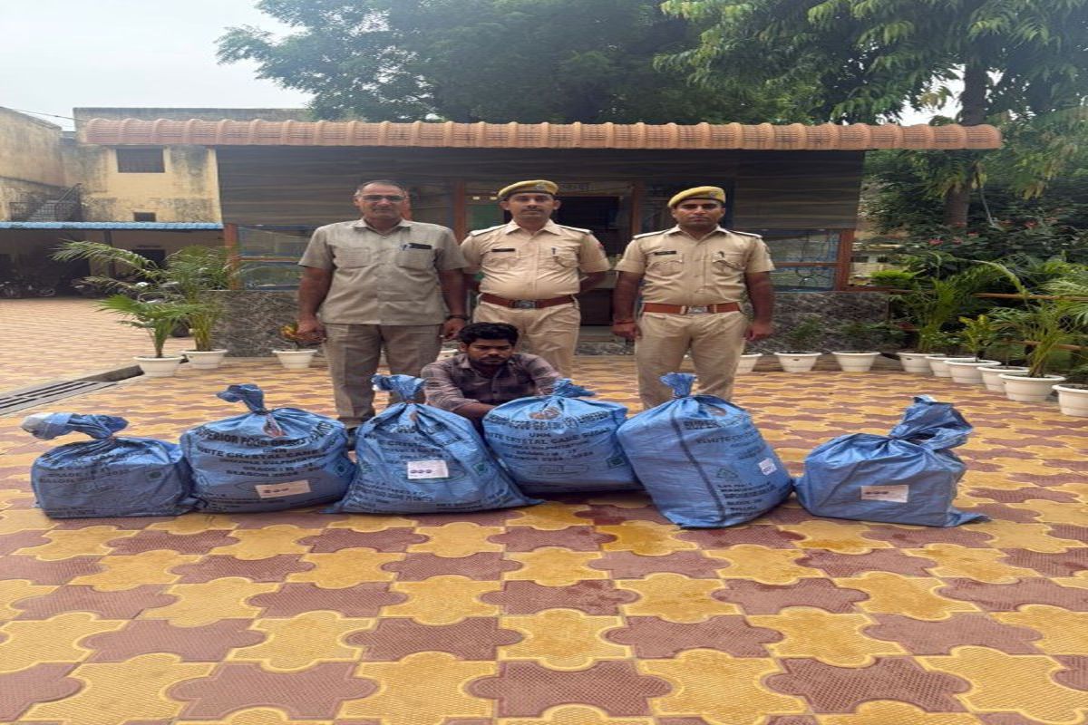 पुलिस ने 400 पव्वे शराब के साथ आरोपी को पकड़ा, 353 वाहनों के खिलाफ कार्रवाई
