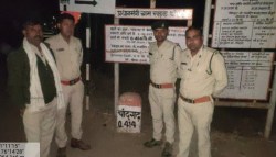 world ranger day: बुरहानपुर में 1.90 लाख हेक्टेयर का जंगल, जंगल को बचाने के लिए
ढाल बने 300 जाबांज - image