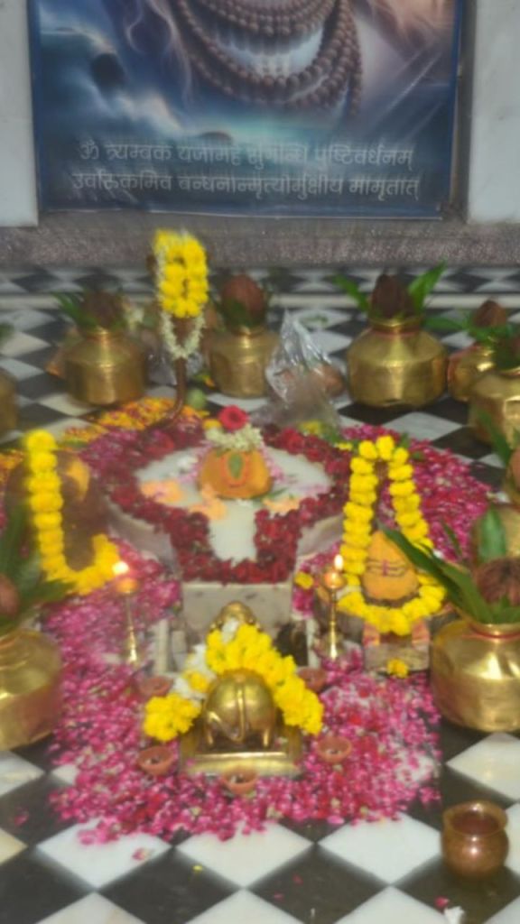 Sawan 2025: हरि-हर रूप में बाबा का अलौकिक शृंगार, गणपति रूप में नजर आएंगे हटकेश्वरनाथ