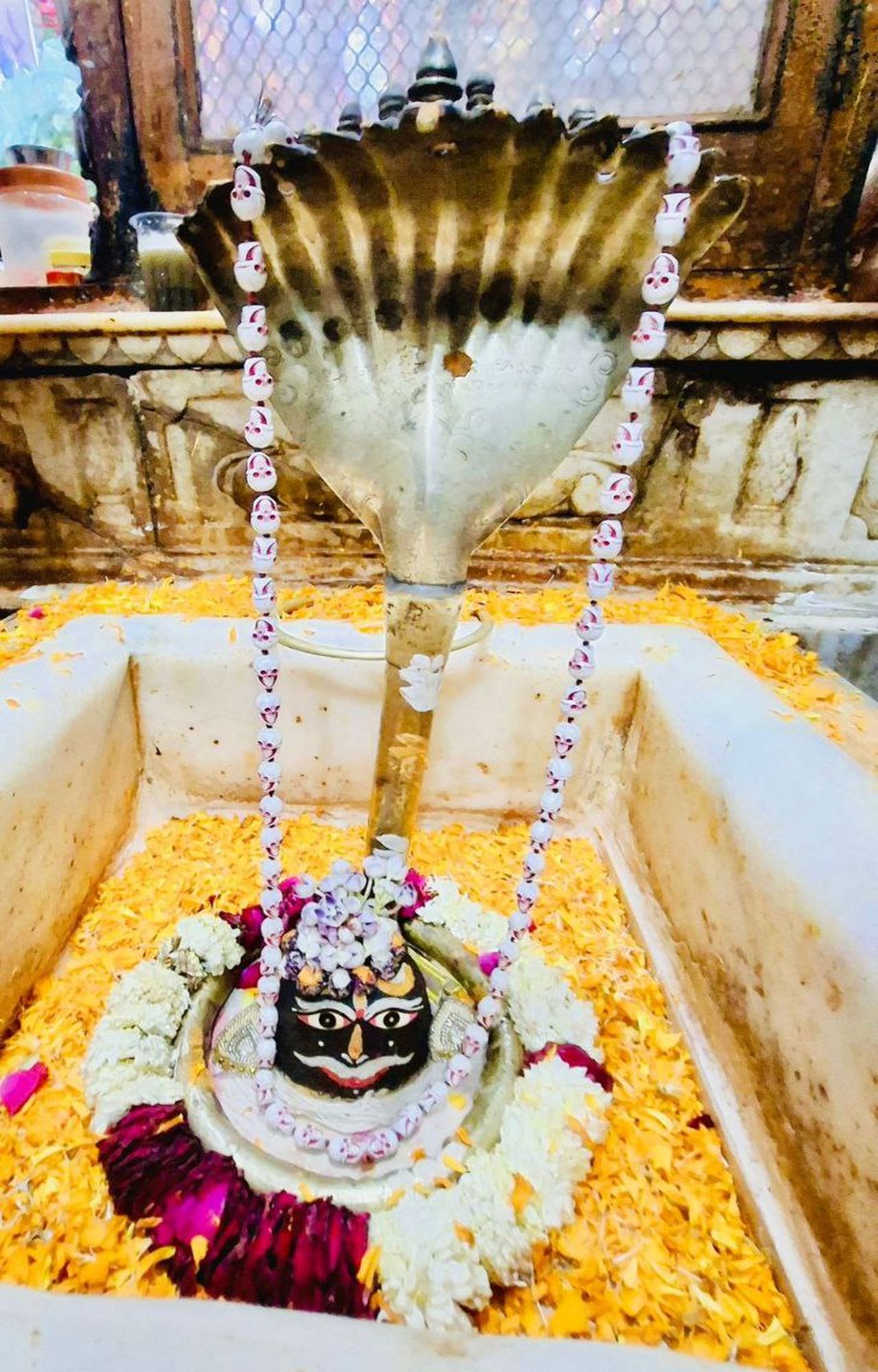 Nagaur patrika…सावन के दूसरे सोमवार में शिवालयों में उमड़े श्रद्धालू भगवान को
जलाभिषेक…VIDEO