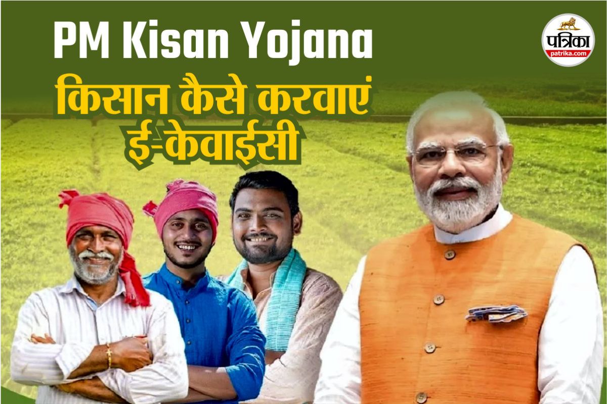 PM Kisan Form में इस भाषा का इस्तेमाल है पूरी तरह गलत, रिजेक्ट हो जाएगा फॉर्म