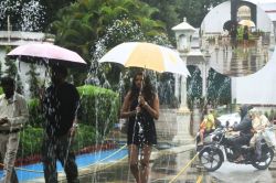 Rain in Udaipur: गांव-गांव में जमकर बरसे मेघ, जलाशयों में पानी की आवक शुरू,
लोगों को गर्मी से मिली राहत - image
