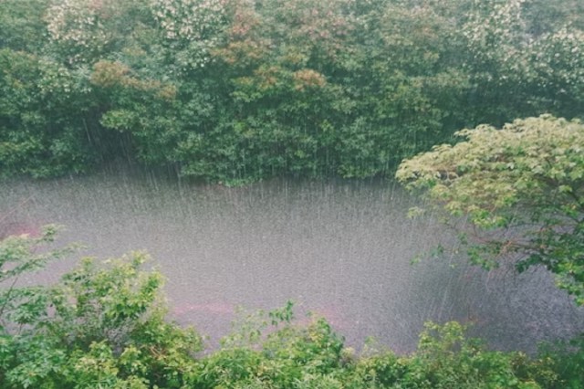 हल्की से मध्यम वर्षा की संभावना (फोटो सोर्स- unsplash)
