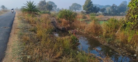 उमरार नहर की सफाई के लिए चलाया गया था जल गंगा अभियान, फिर भी नहीं हो सकी नहर की सफाई