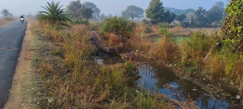 उमरार नहर की सफाई के लिए चलाया गया था जल गंगा अभियान, फिर भी नहीं हो सकी नहर की सफाई