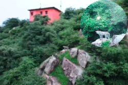भरतपुर: निठार गांव की पहाड़ी पर 4 पैंथरों का मूवमेंट, ग्रामीणों में दहशत का
माहौल, वन विभाग से रेस्क्यू की मांग - image
