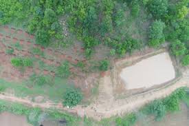 CG News: जल संरक्षण को मिली नई दिशा, जन सहयोग से हो रही जल सुरक्षा, देखें तस्वीरें