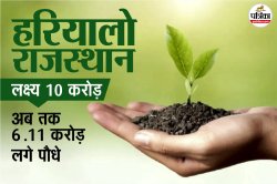 Hariyalo Rajasthan: हरियालो राजस्थान अभियान में अब तक लगे 6 करोड़ से ज्यादा
पौधे, जयपुर सबसे आगे - image