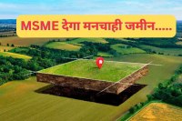 msme plot allotment custom size industrial areas entrepreneurs