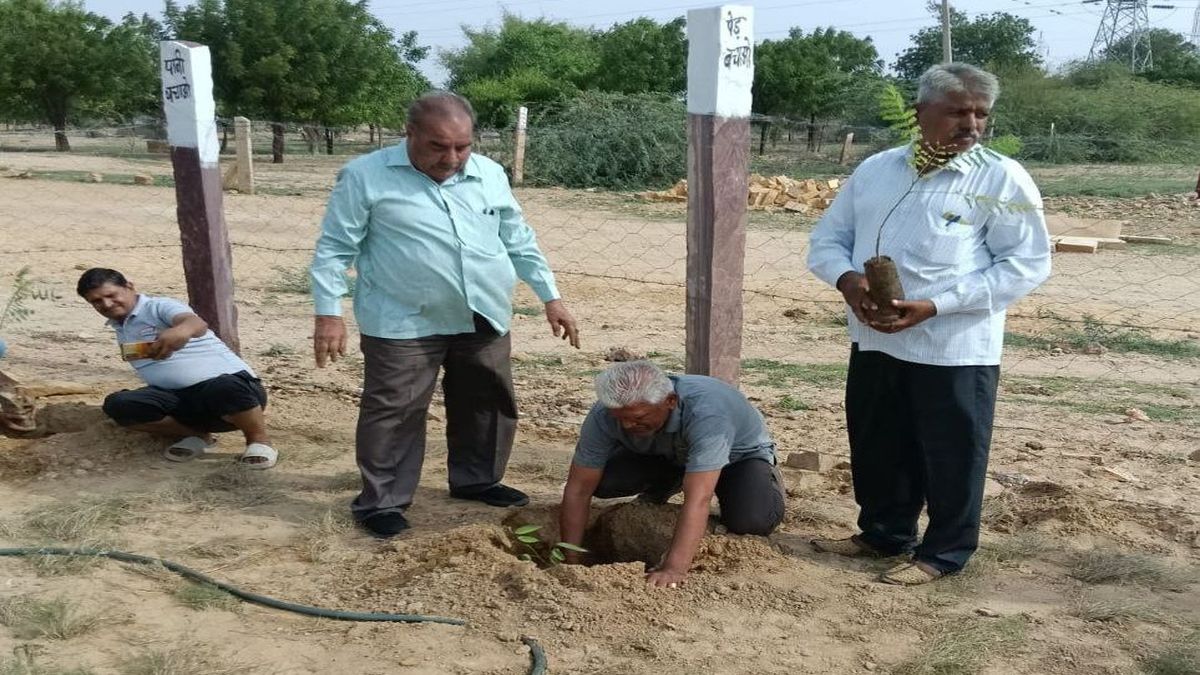हरयाळो राजस्थान: शहीदों की याद में पौधरोपण, लिया हरियाली का प्रण