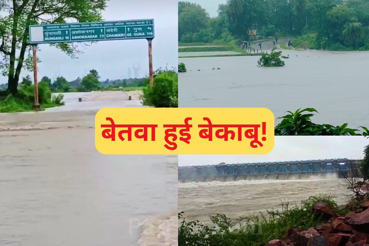 बेतवा हुई बेकाबू! अशोकनगर में हाहाकार, गांव और इंटरस्टेट हाईवे डूबे, देखें
वीडियो