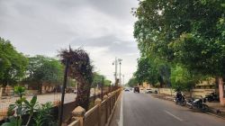 बादलों के साए में बीता दिन, बारिश का इंतजार अब भी कायम - image